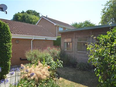 Picture 20